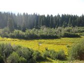 Valley near Moose